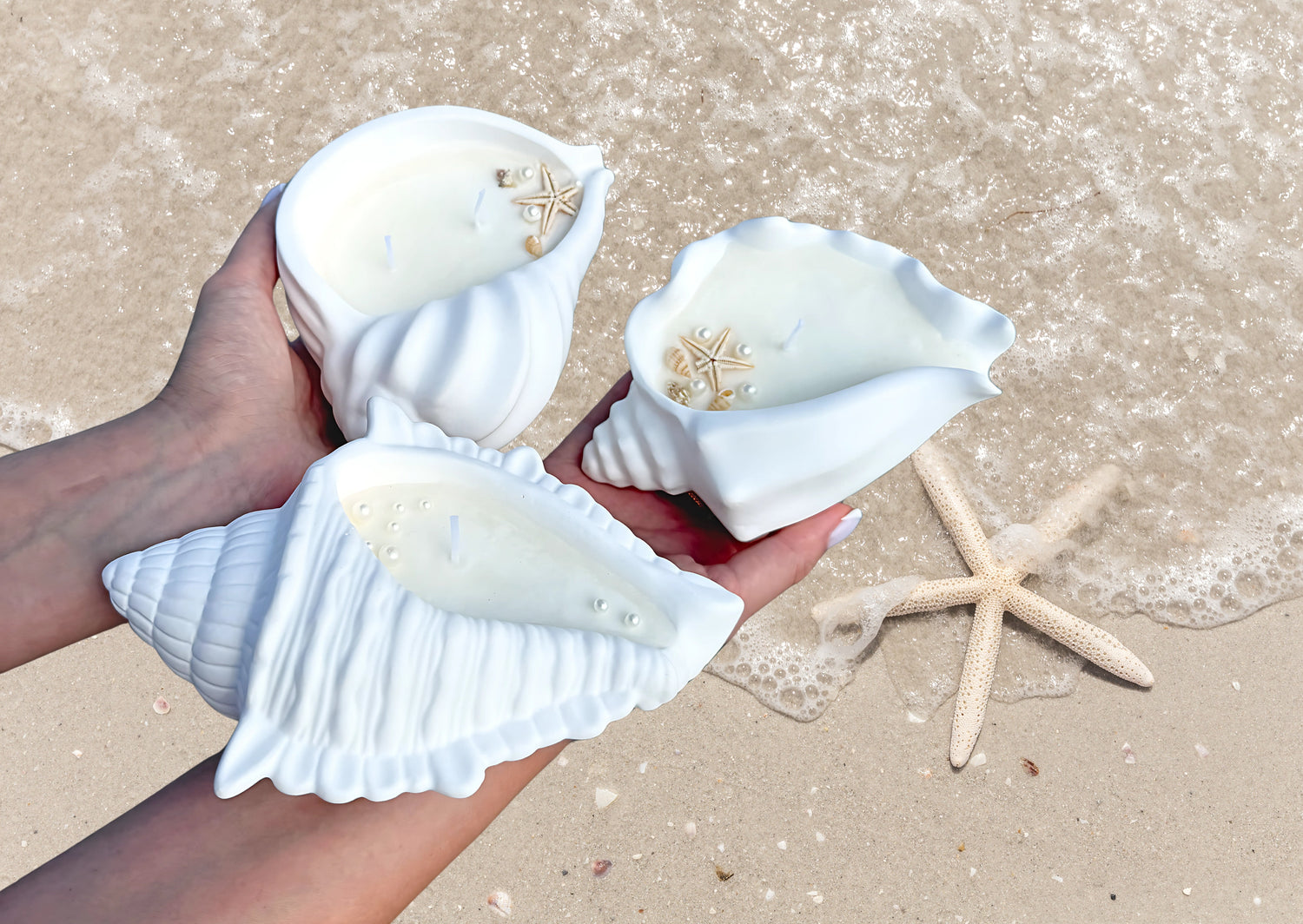 SEA COLLECTION